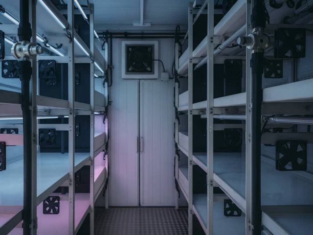 Del cultivo al microscopio: así funciona el laboratorio en Agrilab, de AgriCube